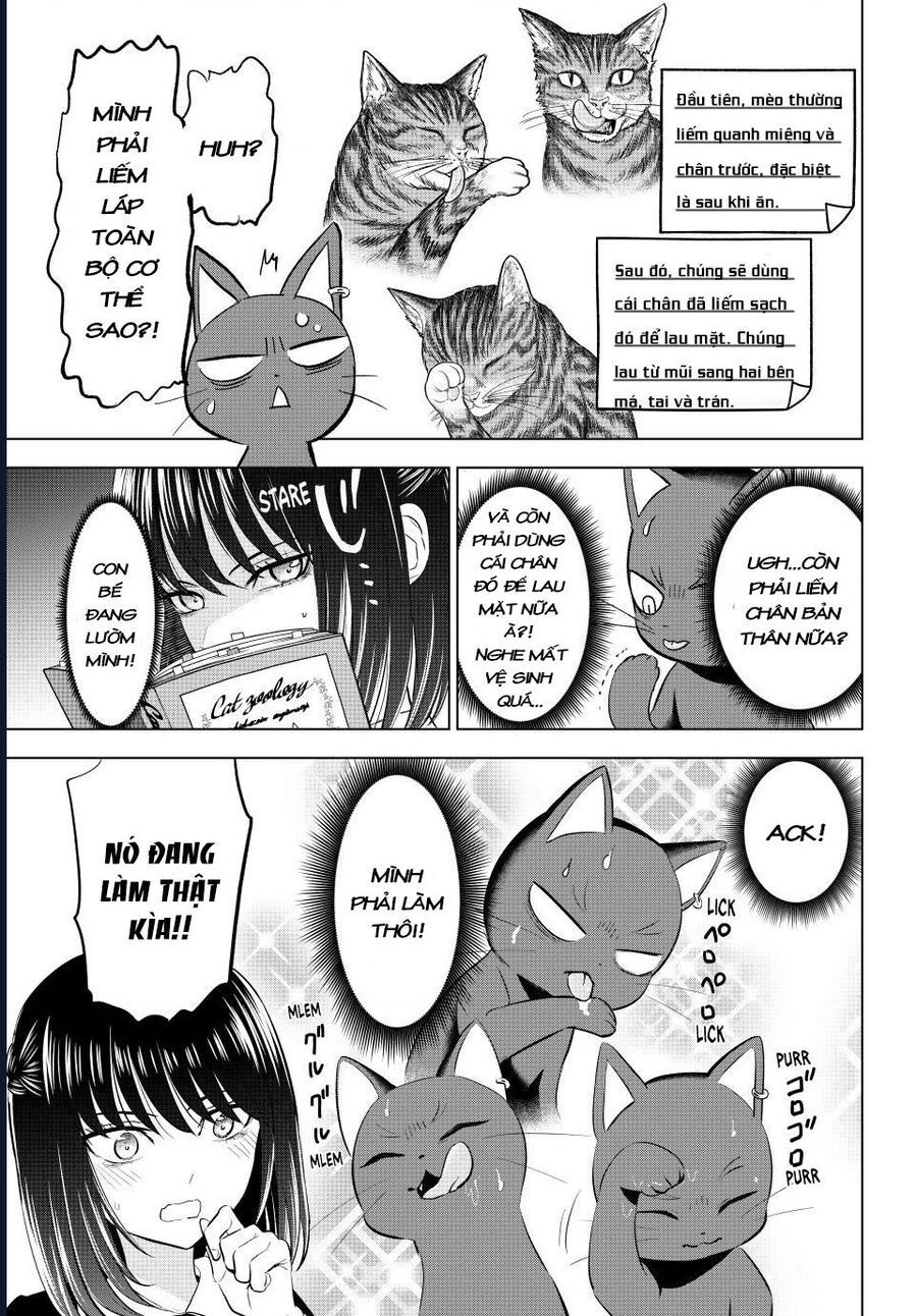 Hắc Miêu Và Lớp Học Phù Thủy Chapter 61 - Trang 2