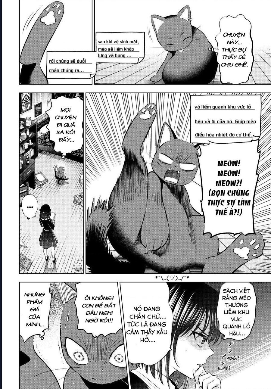 Hắc Miêu Và Lớp Học Phù Thủy Chapter 61 - Trang 2