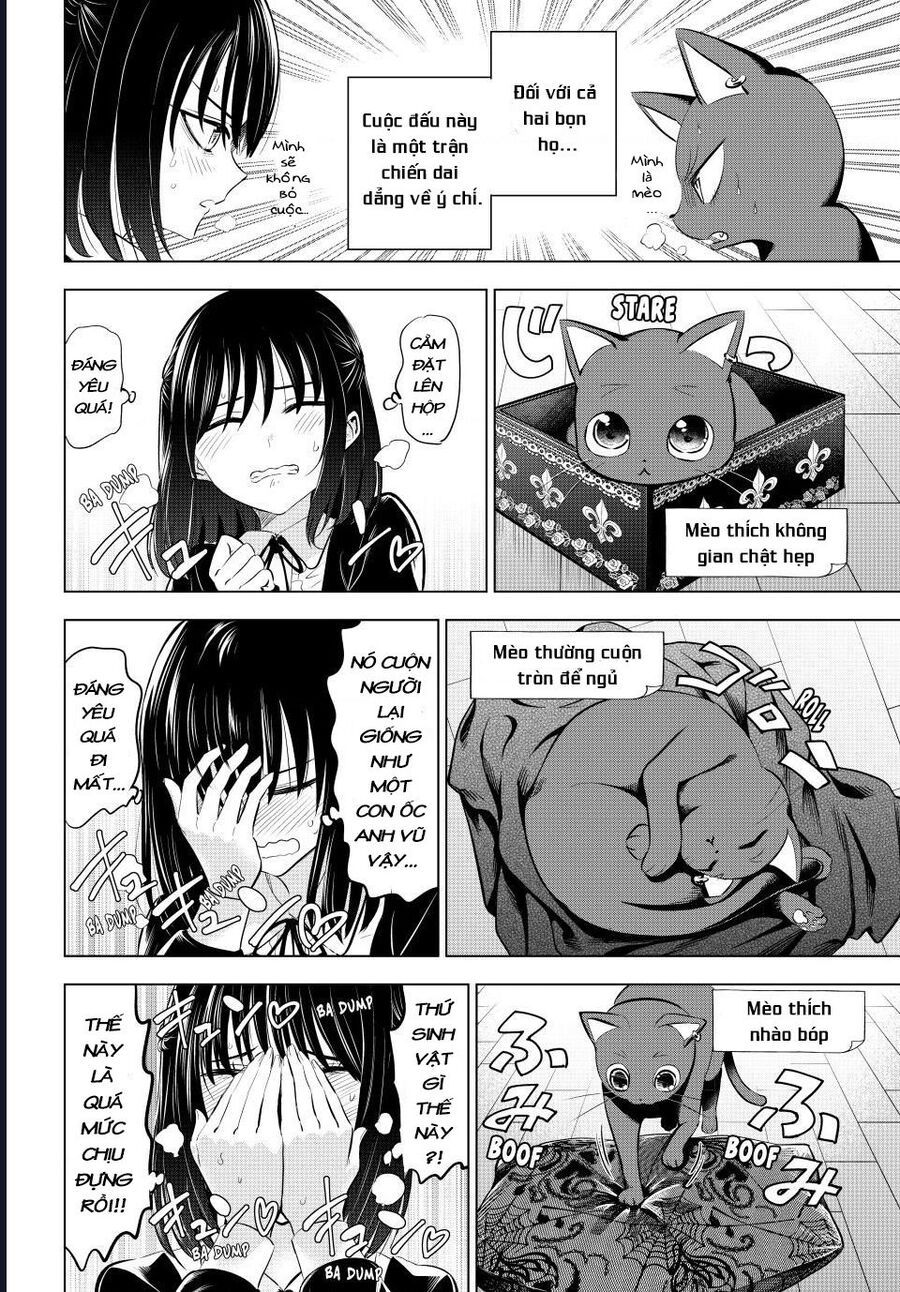 Hắc Miêu Và Lớp Học Phù Thủy Chapter 61 - Trang 2