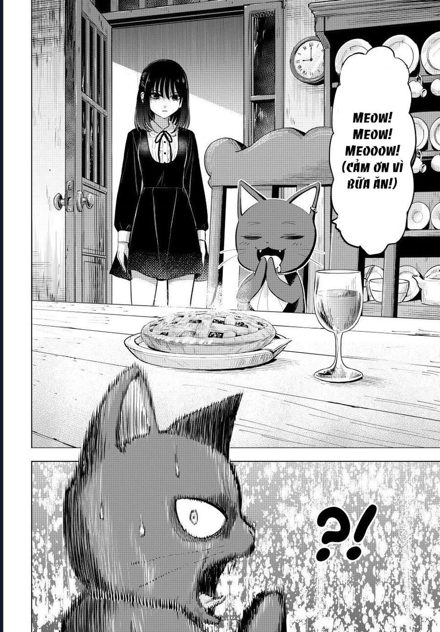 Hắc Miêu Và Lớp Học Phù Thủy Chapter 61 - Trang 2