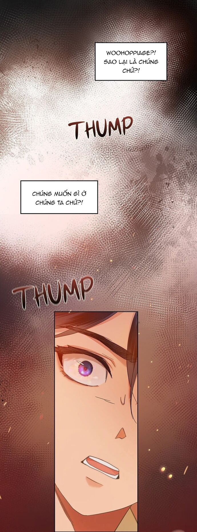 Hải Âu & Sói Hoang Chapter 1 - Trang 2