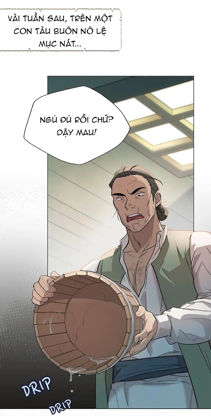 Hải Âu & Sói Hoang Chapter 1 - Trang 2