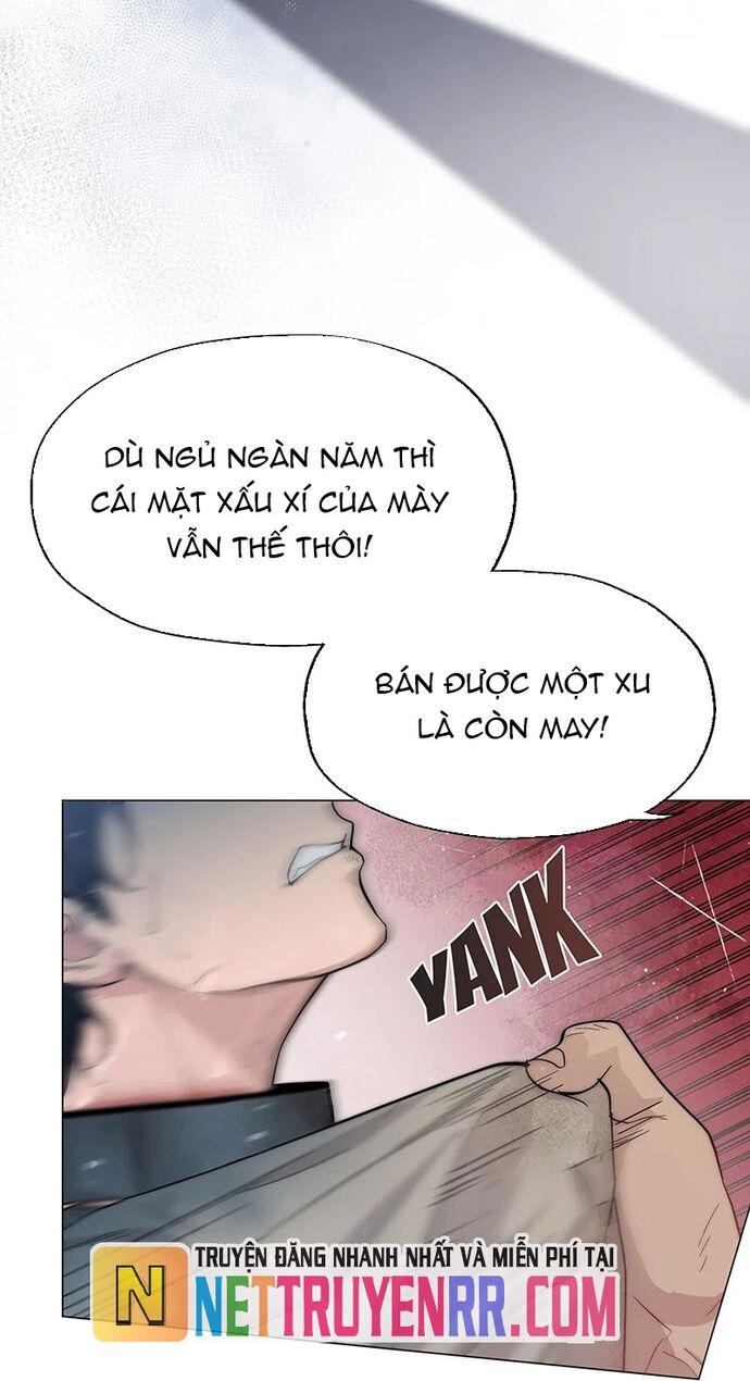Hải Âu & Sói Hoang Chapter 1 - Trang 2