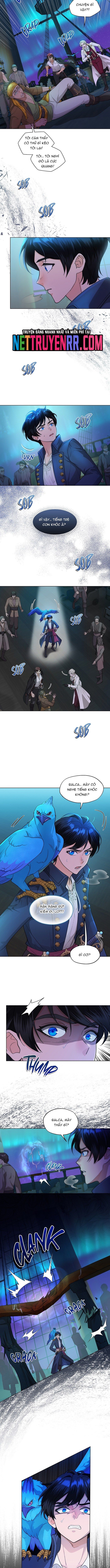 Hải Âu & Sói Hoang Chapter 21 - Trang 2