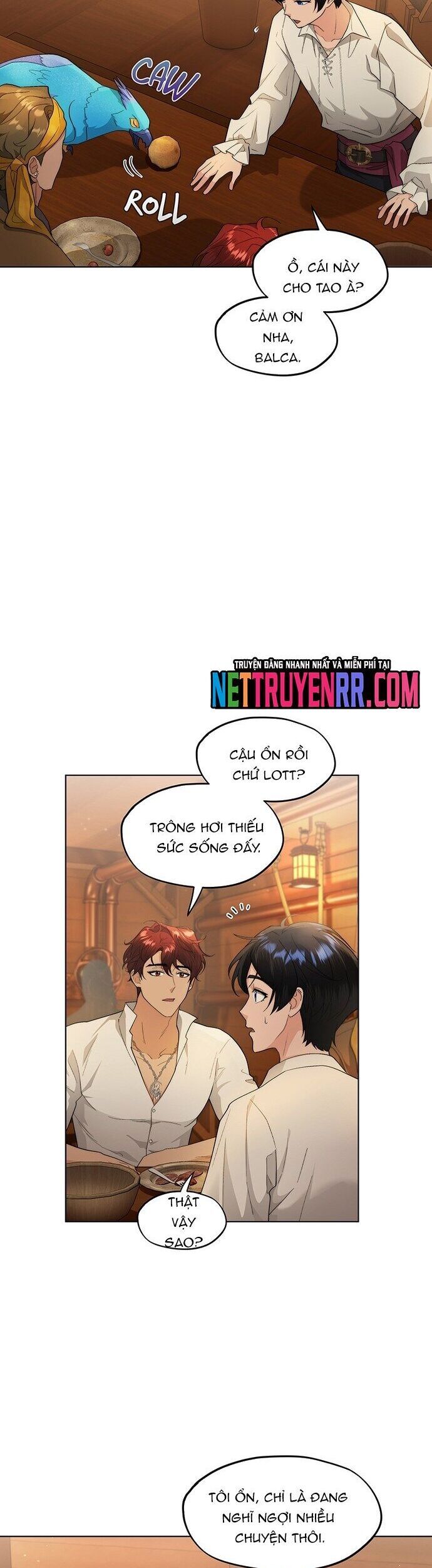 Hải Âu & Sói Hoang Chapter 24 - Trang 2