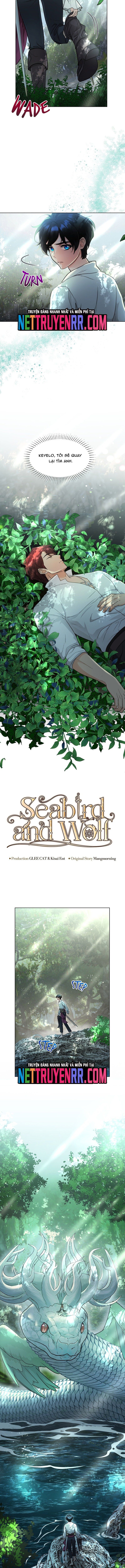 Hải Âu & Sói Hoang Chapter 30 - Trang 2