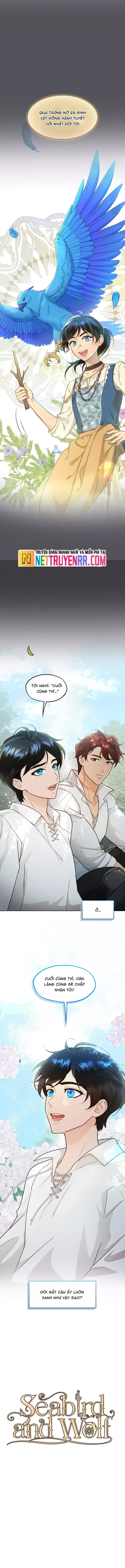 Hải Âu & Sói Hoang Chapter 31 - Trang 2