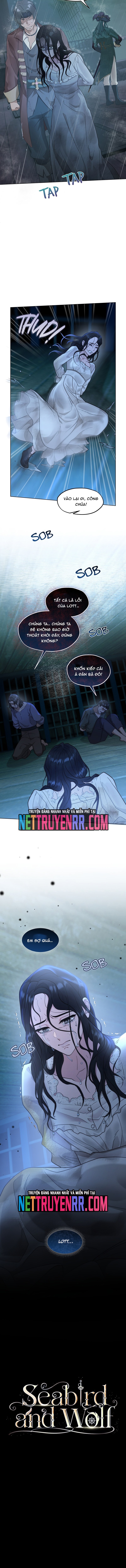 Hải Âu & Sói Hoang Chapter 32 - Trang 2