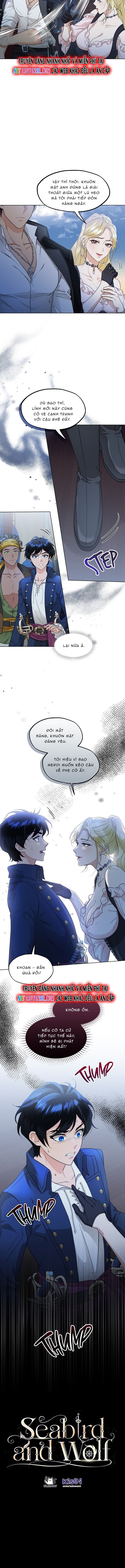 Hải Âu & Sói Hoang Chapter 34 - Trang 2