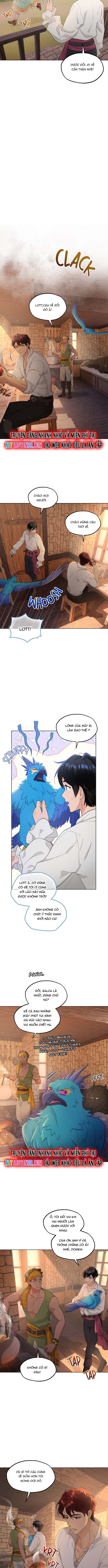 Hải Âu & Sói Hoang Chapter 38 - Trang 2
