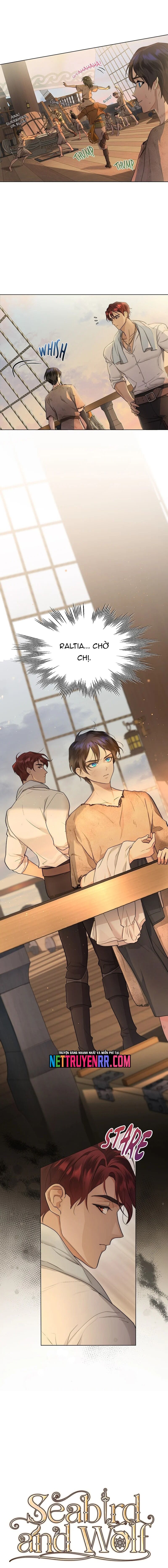 Hải Âu & Sói Hoang Chapter 4 - Trang 2