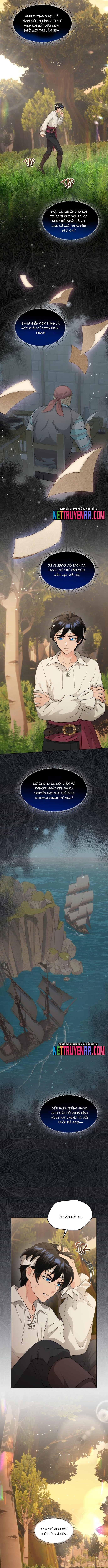 Hải Âu & Sói Hoang Chapter 40 - Trang 2