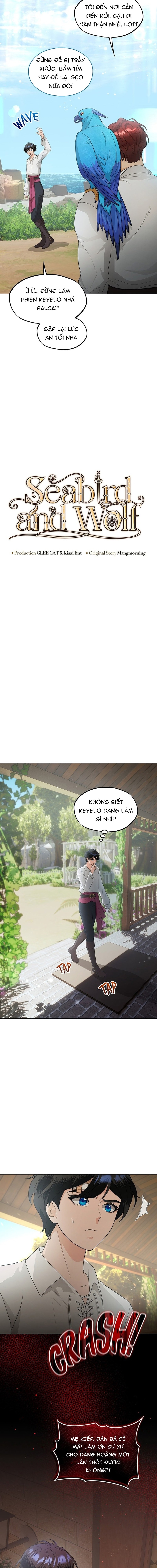 Hải Âu & Sói Hoang Chapter 41 - Trang 2