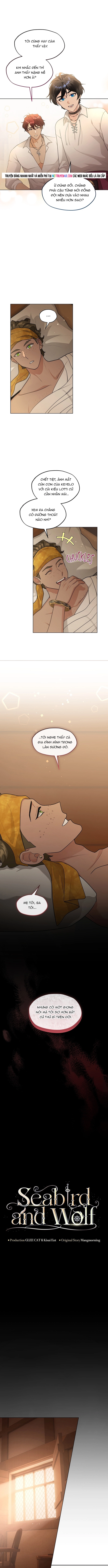 Hải Âu & Sói Hoang Chapter 50 - Trang 2