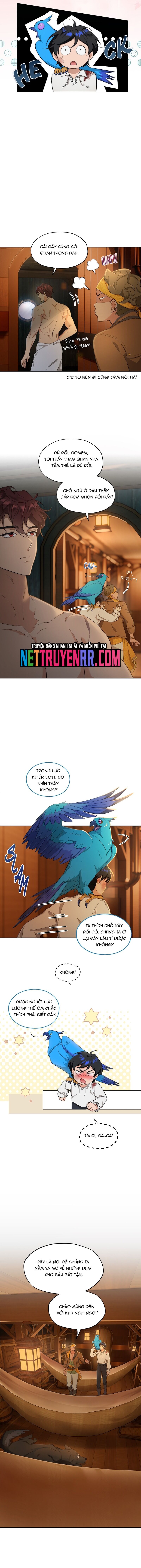 Hải Âu & Sói Hoang Chapter 7 - Trang 2
