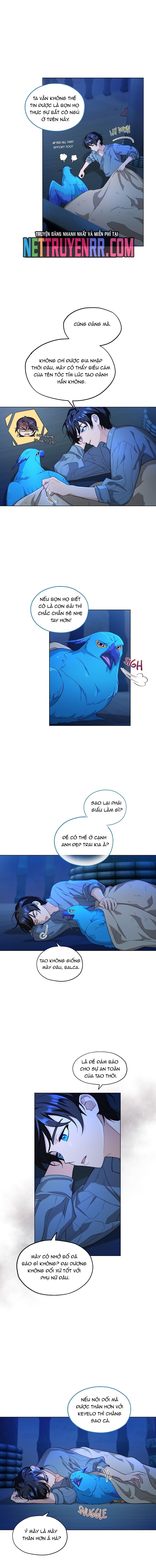 Hải Âu & Sói Hoang Chapter 8 - Trang 2