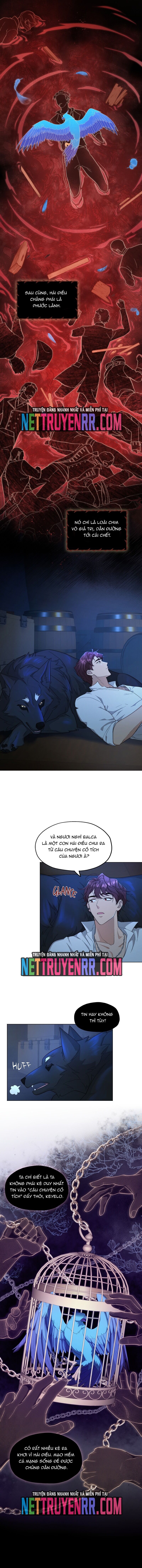 Hải Âu & Sói Hoang Chapter 8 - Trang 2