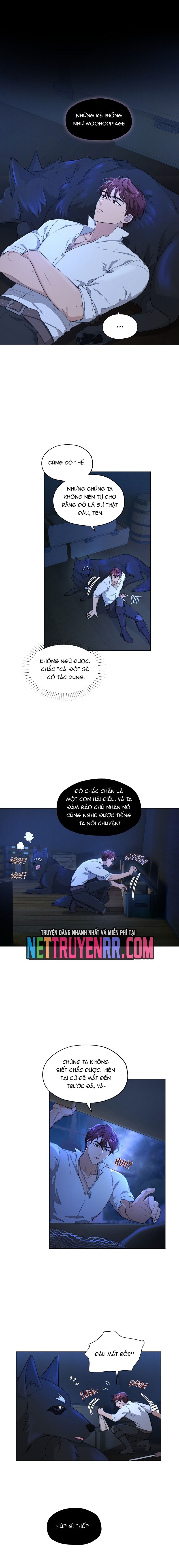 Hải Âu & Sói Hoang Chapter 8 - Trang 2
