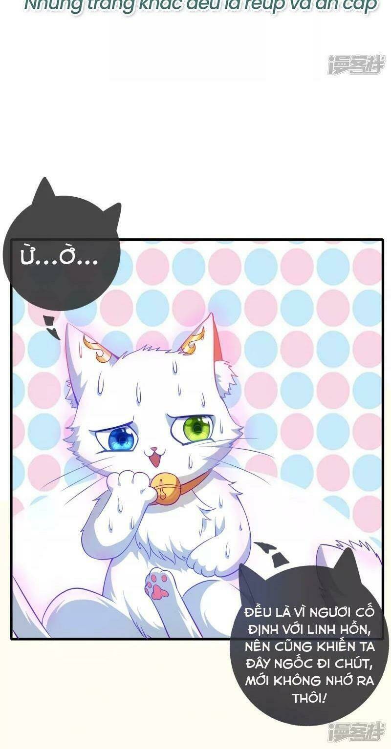 Hài Đế Vi Tôn Chapter 4 - Trang 2