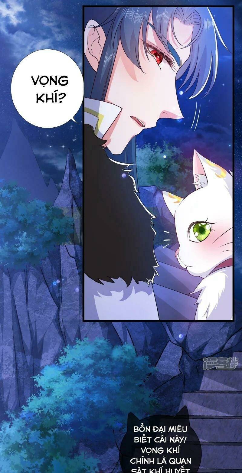 Hài Đế Vi Tôn Chapter 9 - Trang 2