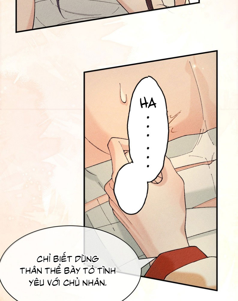 Hải Vương Sau Khi Hoàn Lương Sa Vào Tu La Tràng Chapter 16 - Trang 2