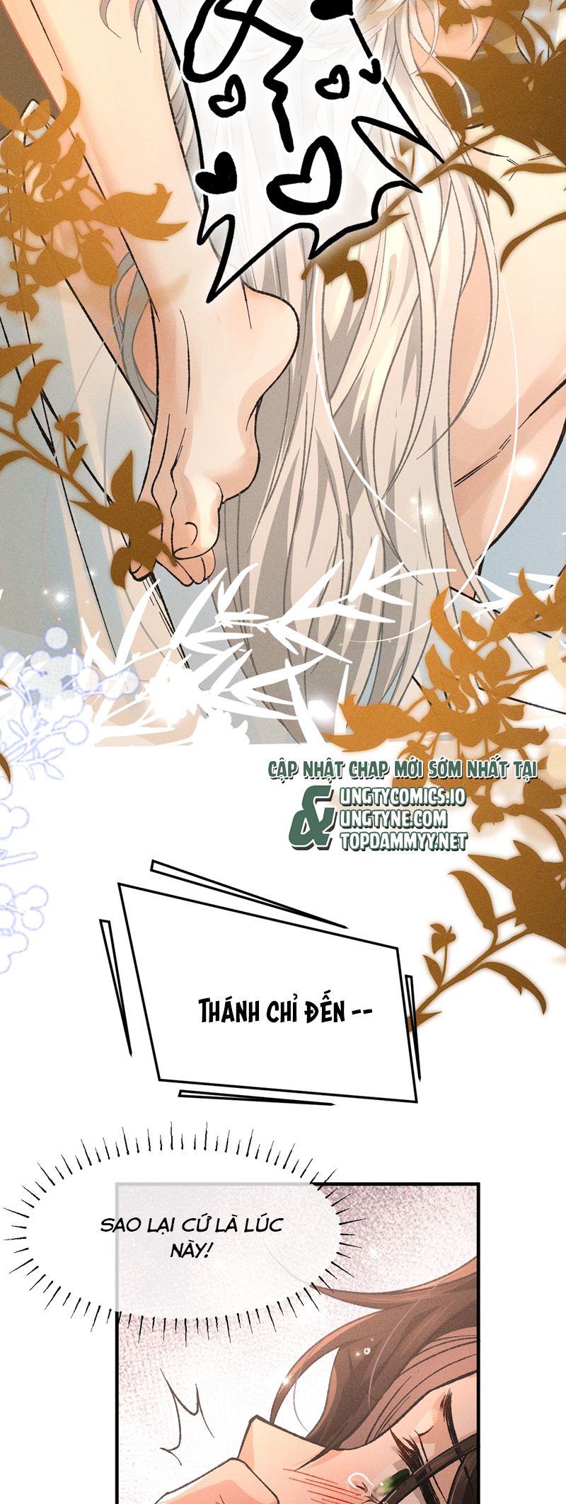 Hải Vương Sau Khi Hoàn Lương Sa Vào Tu La Tràng Chapter 22 - Trang 2