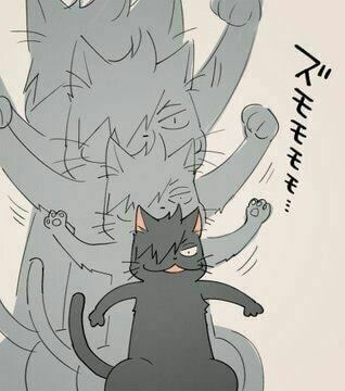 Haikyuu Chapter 202 - Trang 2