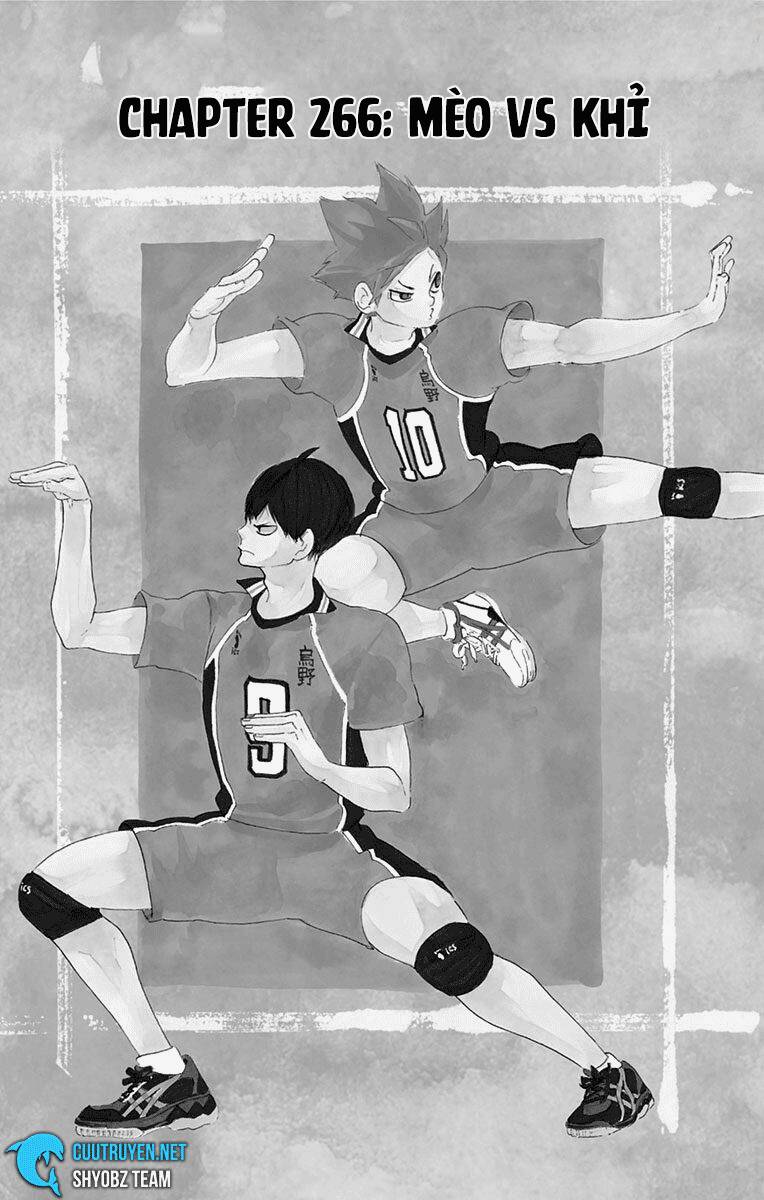 Haikyuu Chapter 266 - Trang 2