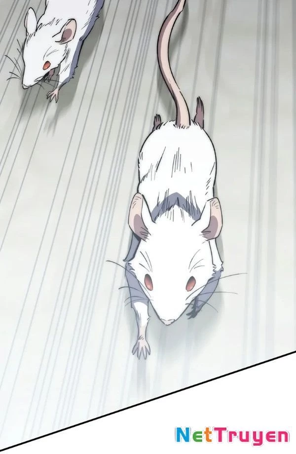 Hầm Ngục Mạnh Nhất Chapter 11 - Trang 2