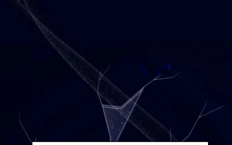 Hầm Ngục Mạnh Nhất Chapter 2 - Trang 2