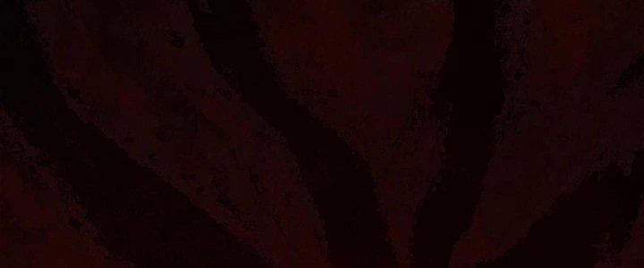 Hành Tẩu Âm Dương Chapter 12 - Trang 2