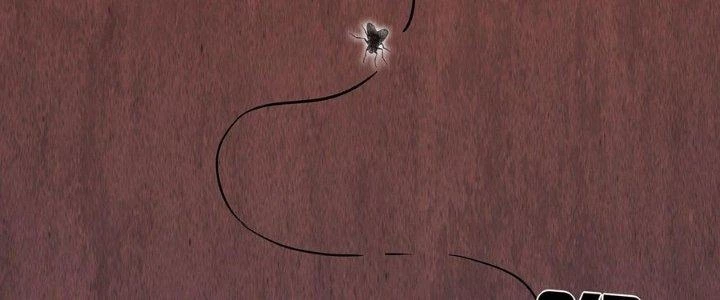 Hành Tẩu Âm Dương Chapter 2 - Trang 2