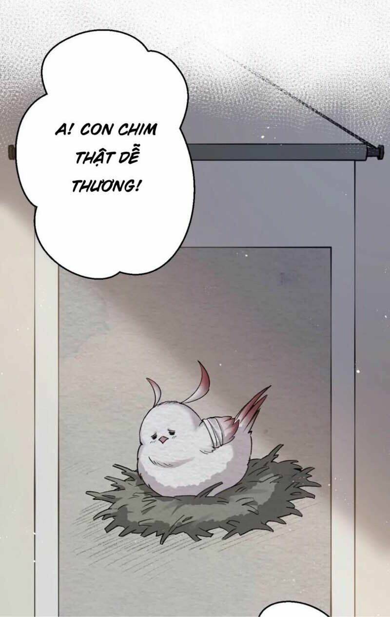 Hảo Đồ Nhi Hãy Tha Cho Vi Sư Chapter 7 - Trang 2