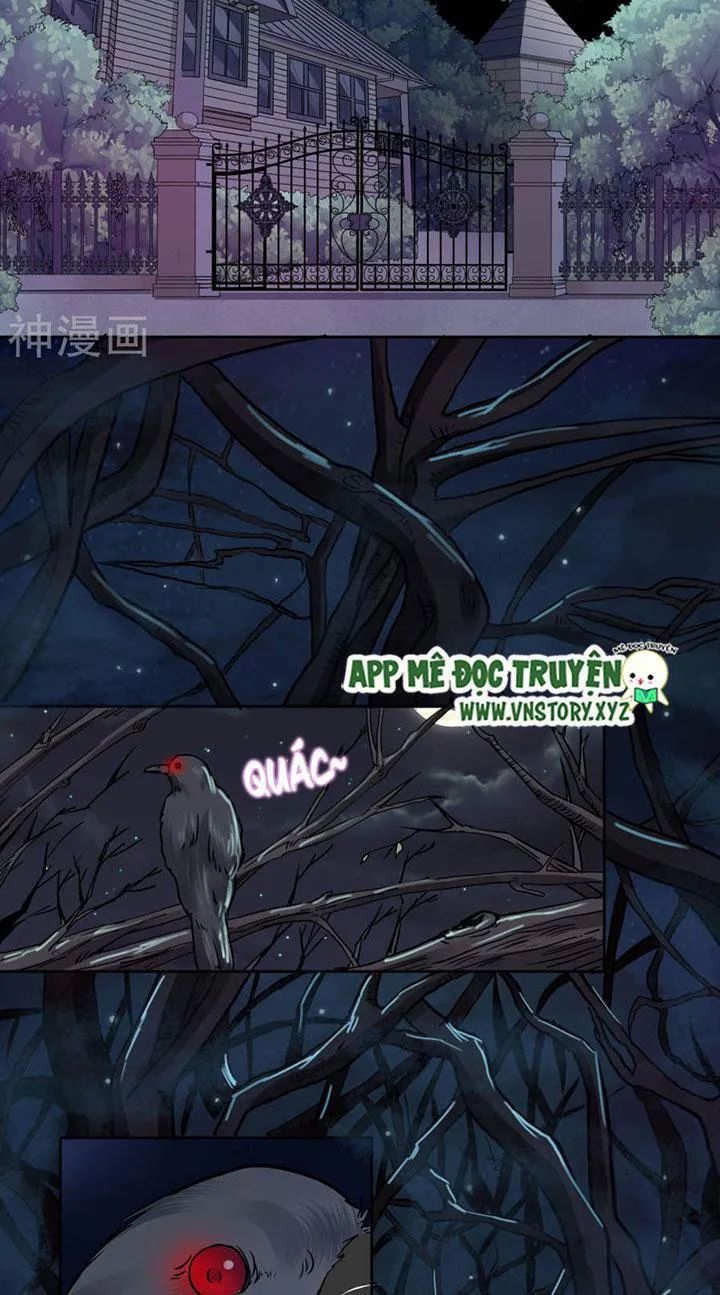 Hào Môn Boss Thiên Giới Thê Chapter 31 - Trang 2