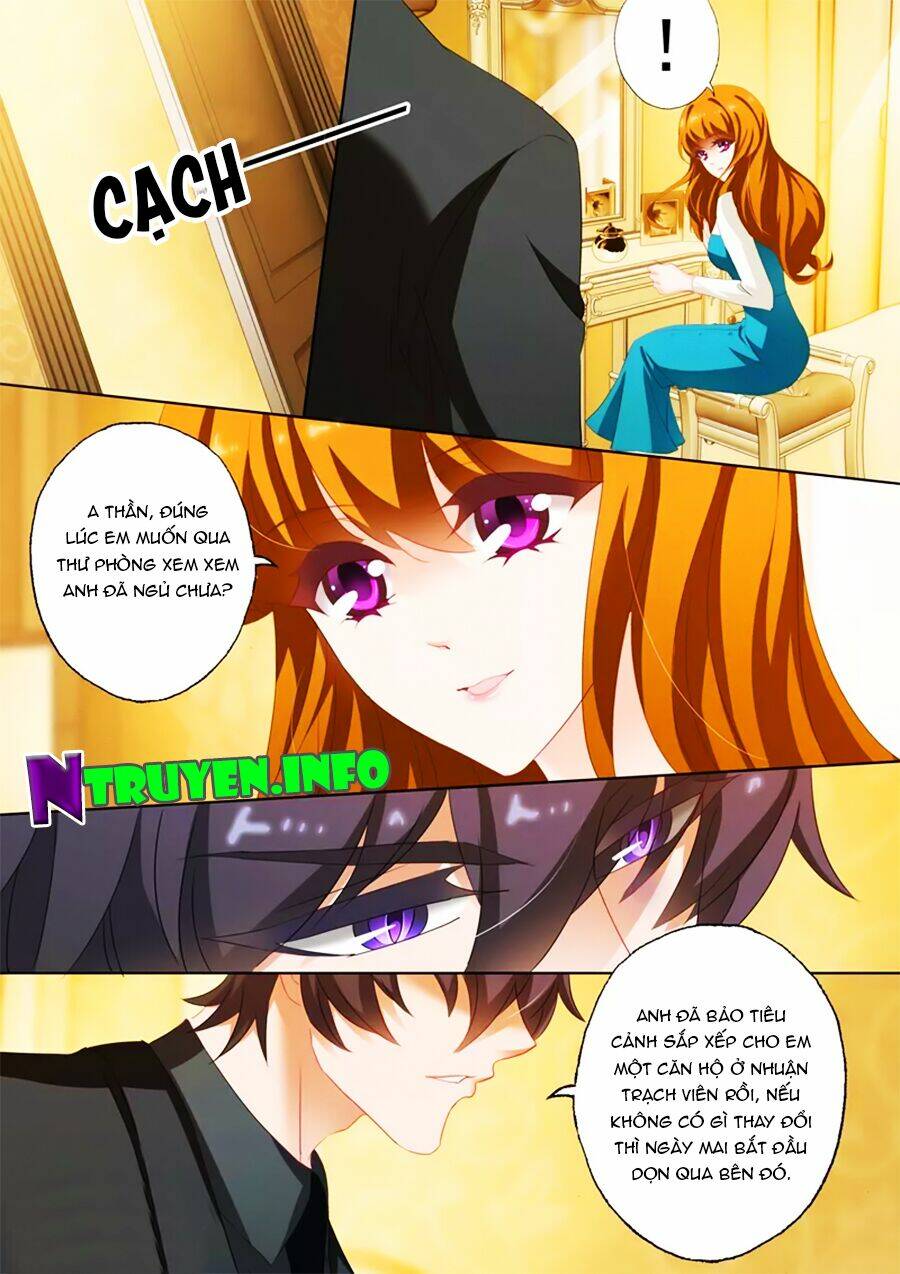 Hào Môn Thiên Giới Tiền Thê Chapter 183 - Trang 2