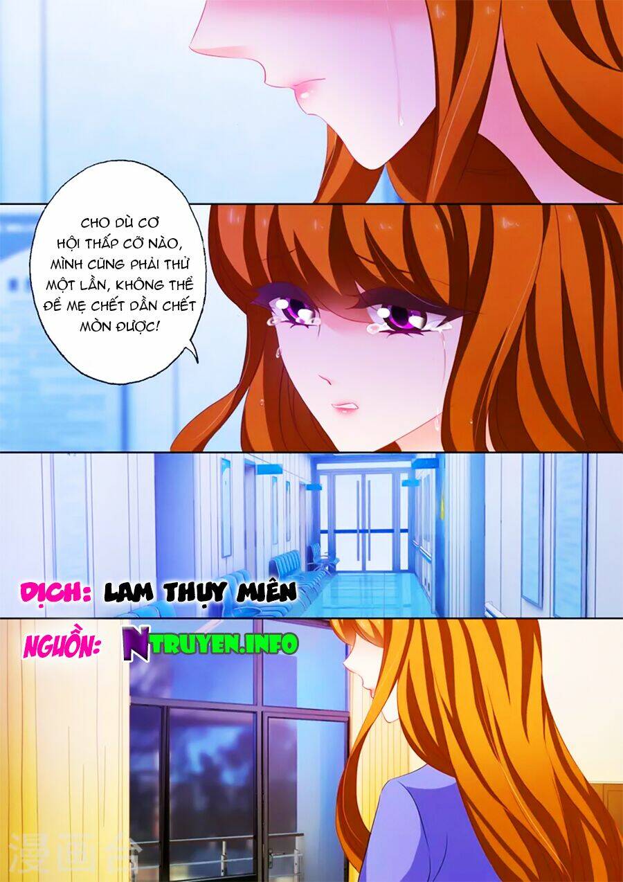 Hào Môn Thiên Giới Tiền Thê Chapter 199 - Trang 2