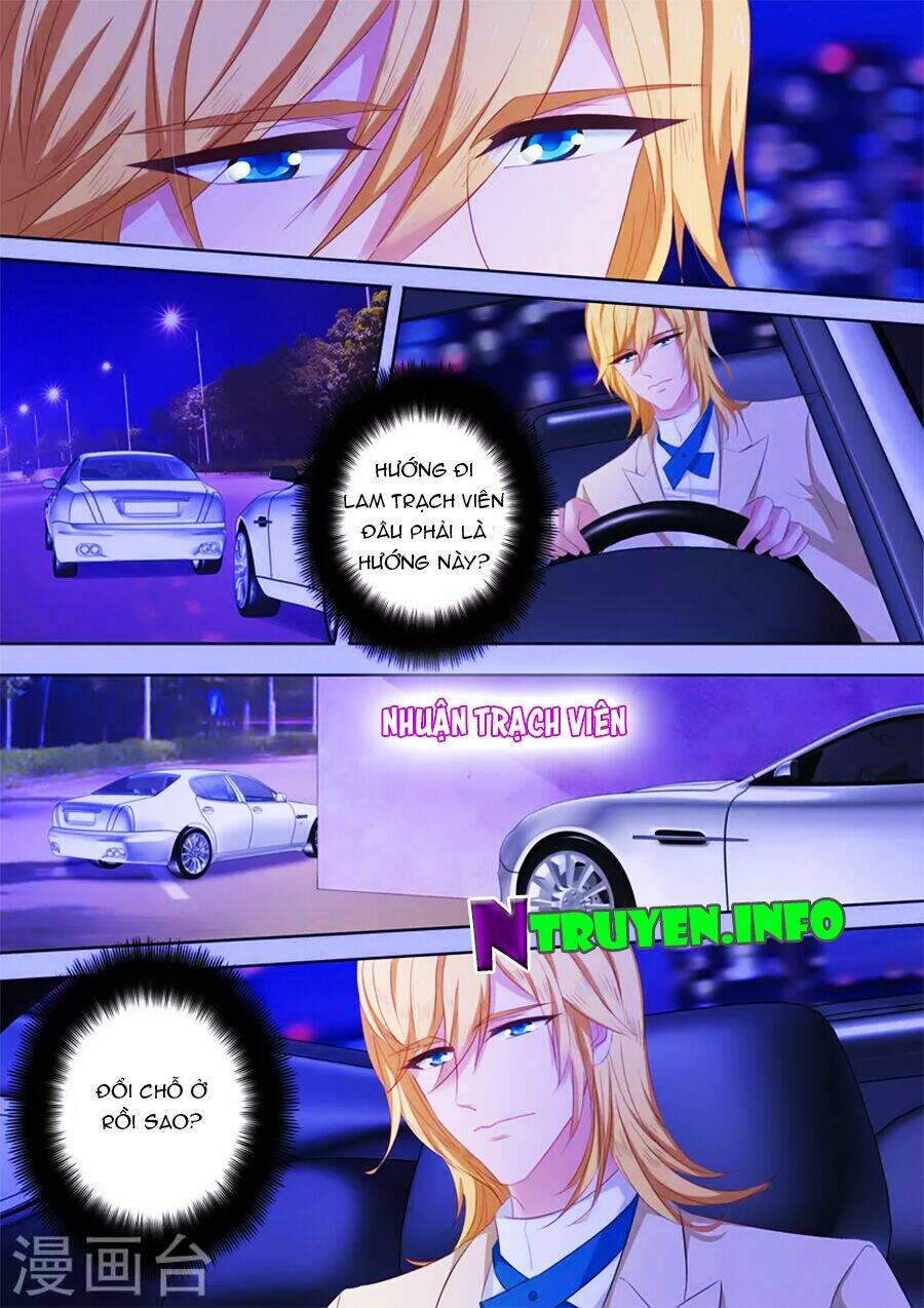 Hào Môn Thiên Giới Tiền Thê Chapter 200 - Trang 2