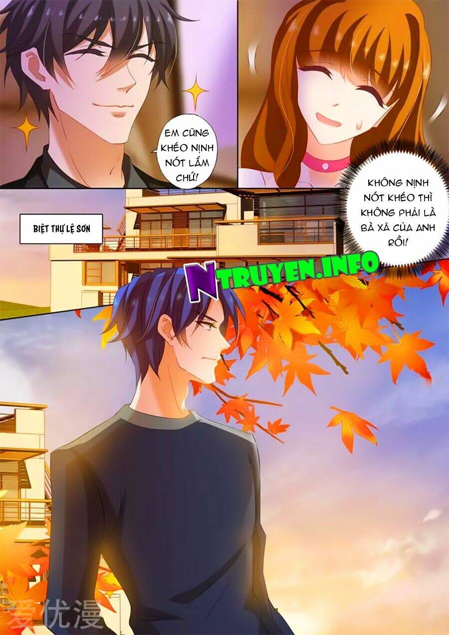 Hào Môn Thiên Giới Tiền Thê Chapter 231 - Trang 2