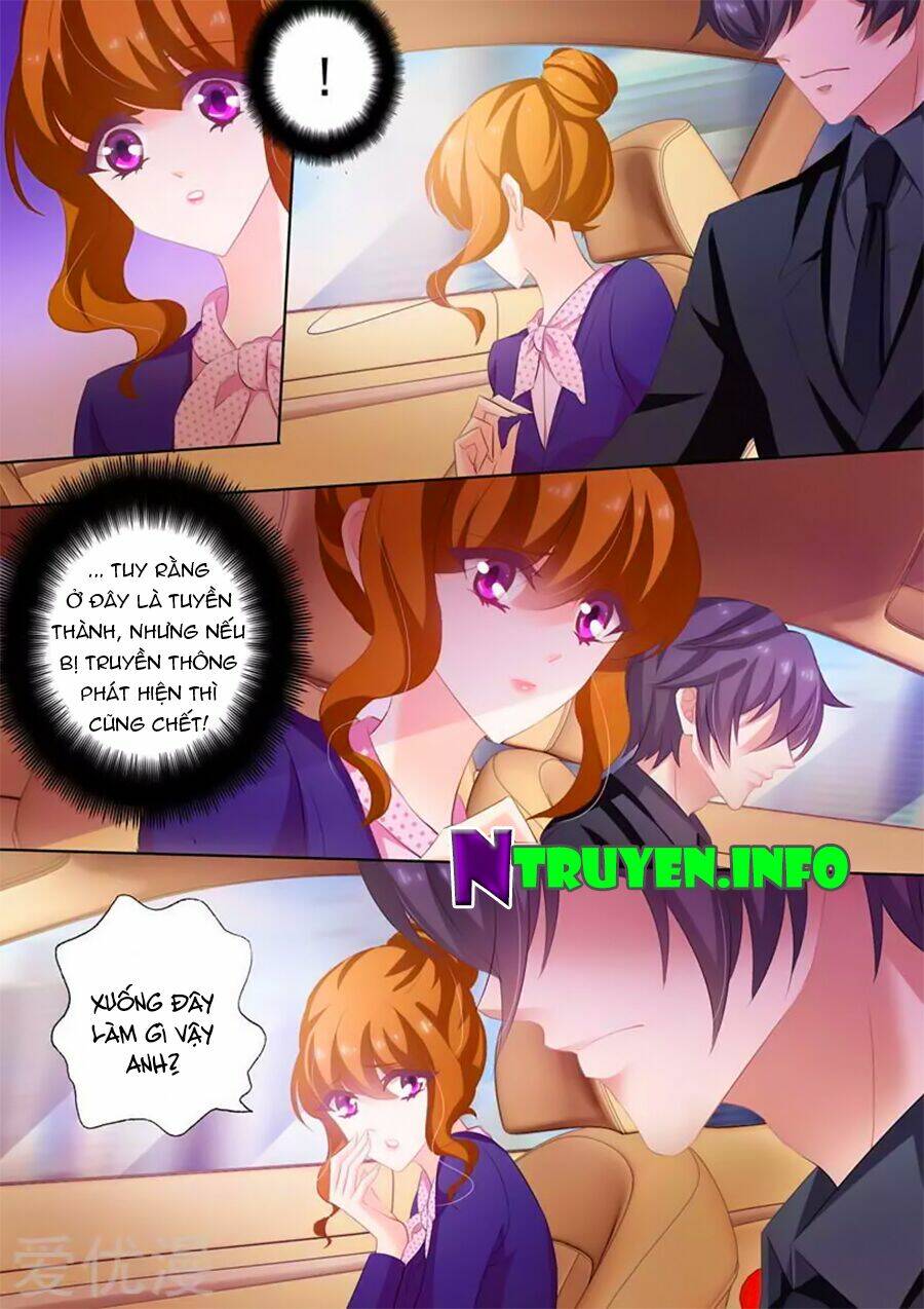 Hào Môn Thiên Giới Tiền Thê Chapter 239 - Trang 2