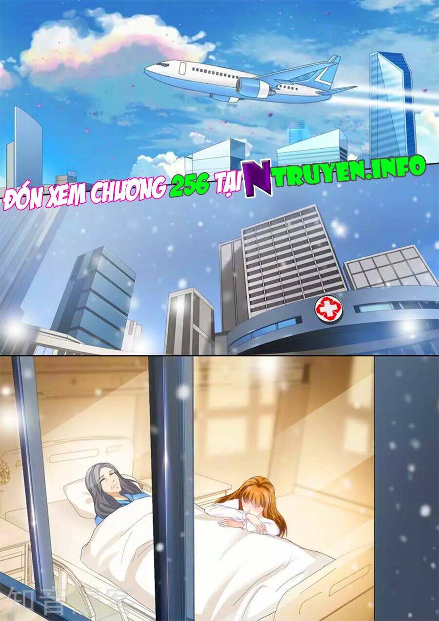 Hào Môn Thiên Giới Tiền Thê Chapter 255 - Trang 2