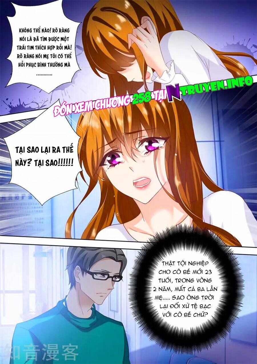 Hào Môn Thiên Giới Tiền Thê Chapter 257 - Trang 2