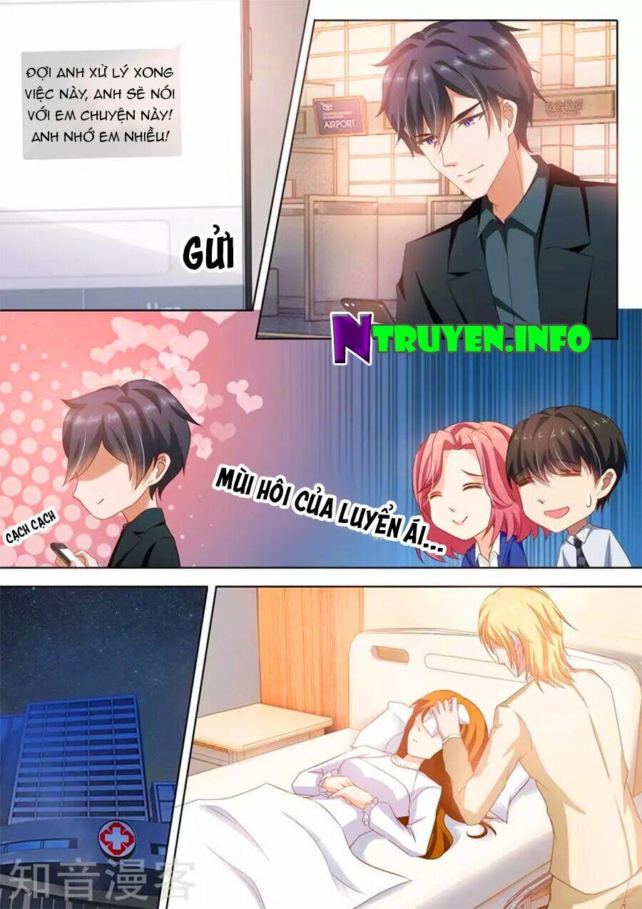 Hào Môn Thiên Giới Tiền Thê Chapter 258 - Trang 2