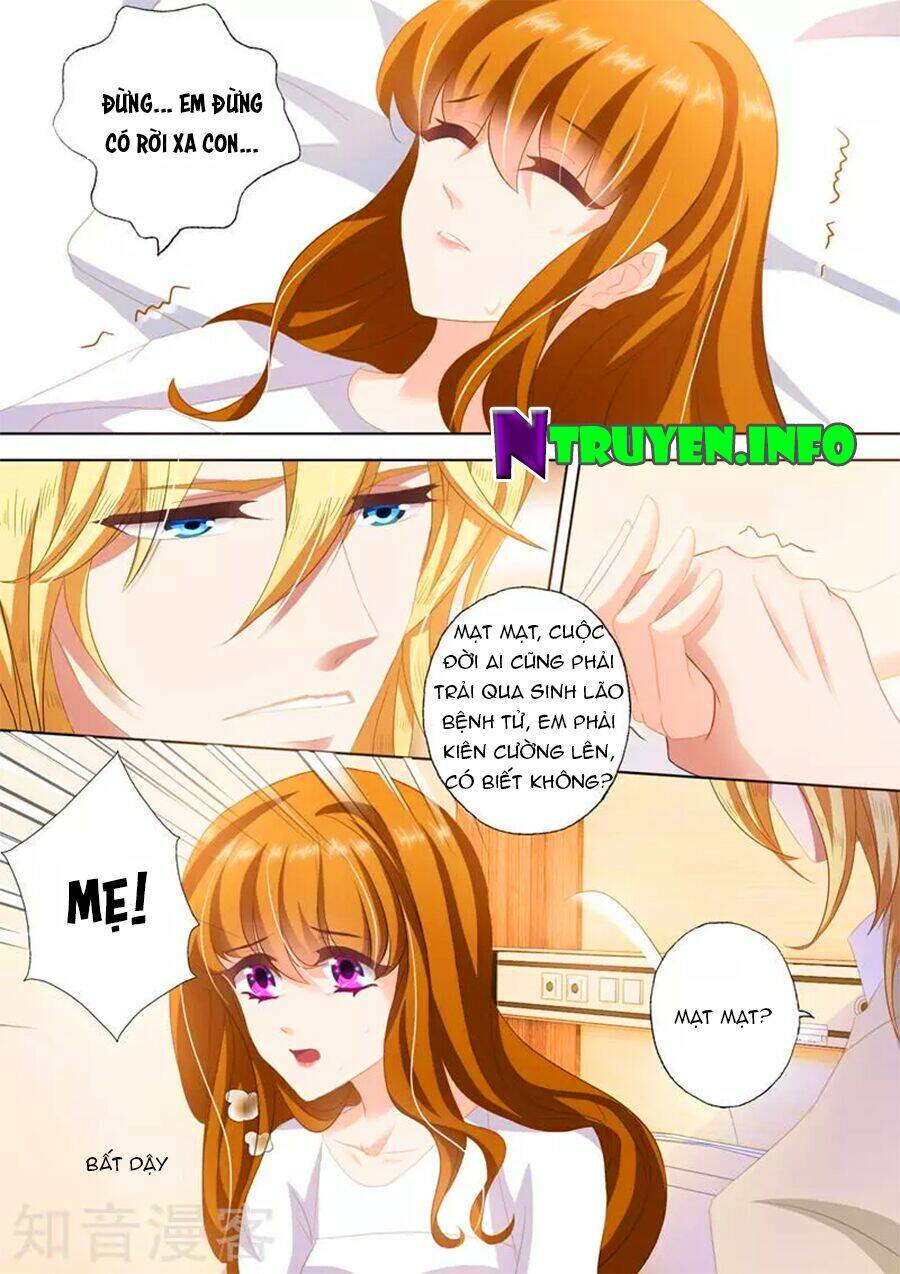 Hào Môn Thiên Giới Tiền Thê Chapter 258 - Trang 2