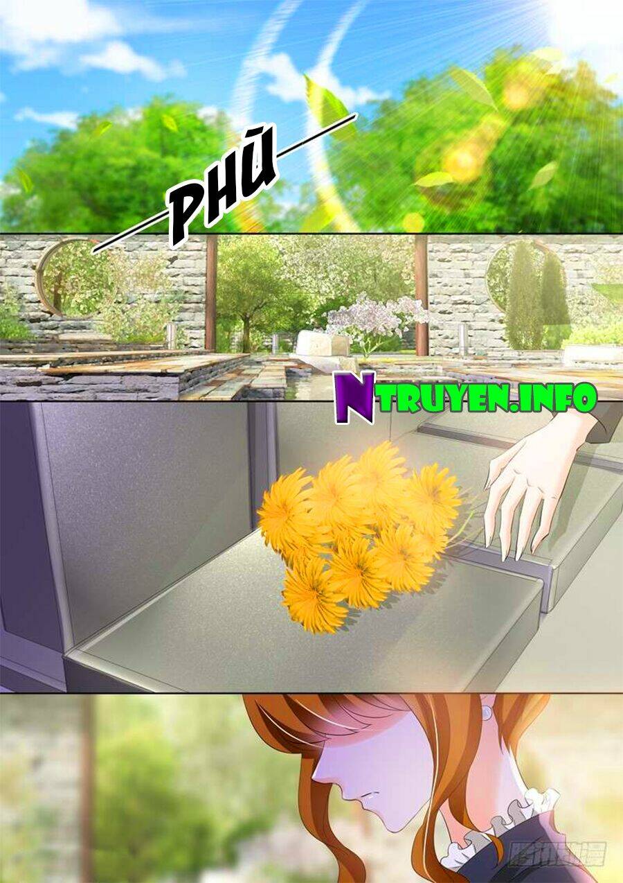 Hào Môn Thiên Giới Tiền Thê Chapter 261 - Trang 2