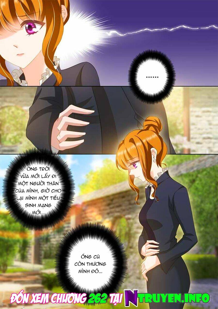 Hào Môn Thiên Giới Tiền Thê Chapter 261 - Trang 2