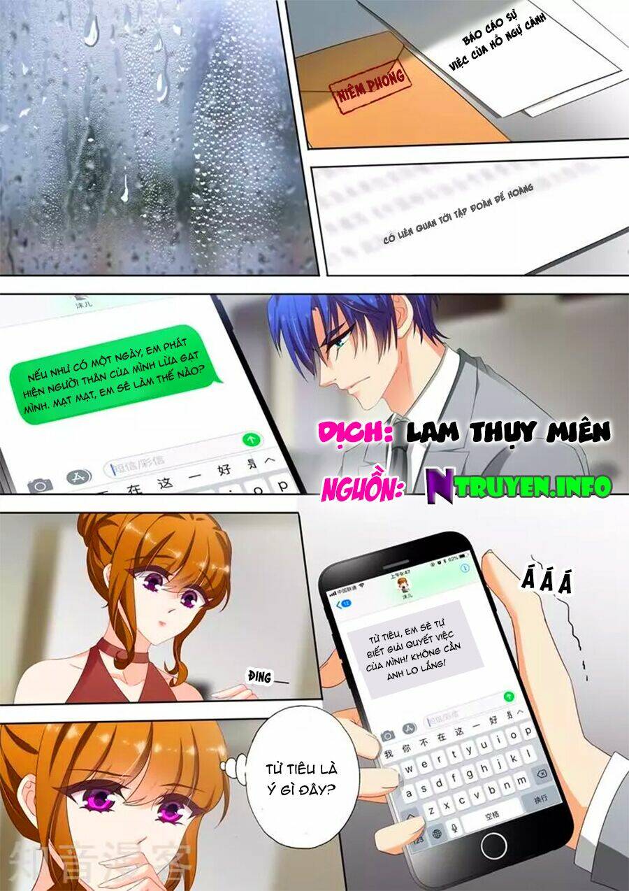 Hào Môn Thiên Giới Tiền Thê Chapter 317 - Trang 2