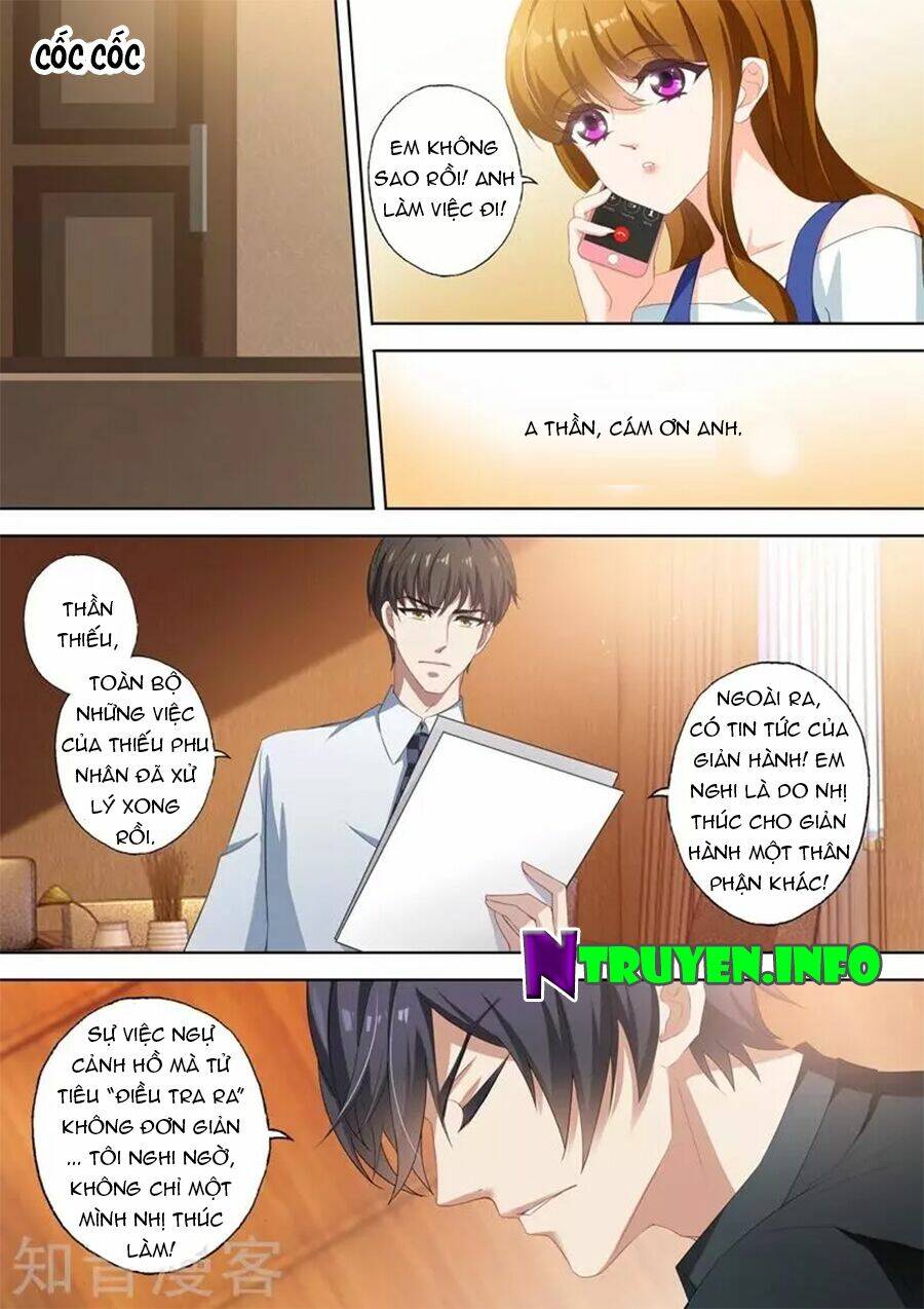 Hào Môn Thiên Giới Tiền Thê Chapter 335 - Trang 2