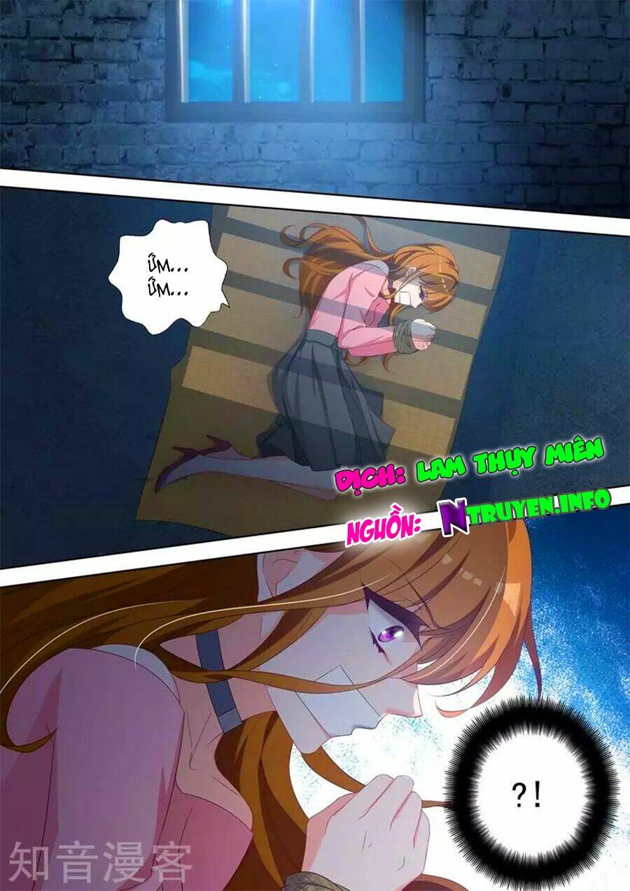 Hào Môn Thiên Giới Tiền Thê Chapter 338 - Trang 2