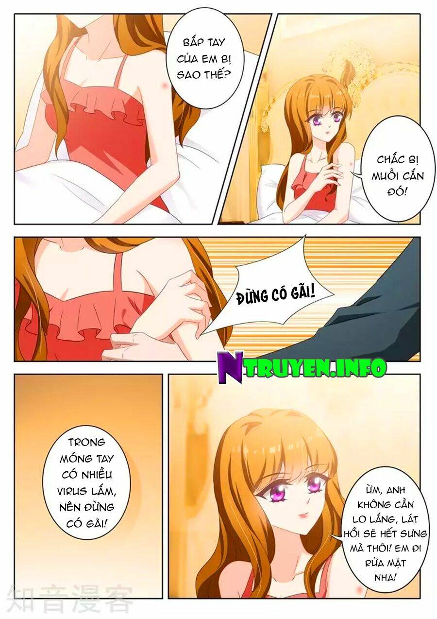 Hào Môn Thiên Giới Tiền Thê Chapter 341 - Trang 2