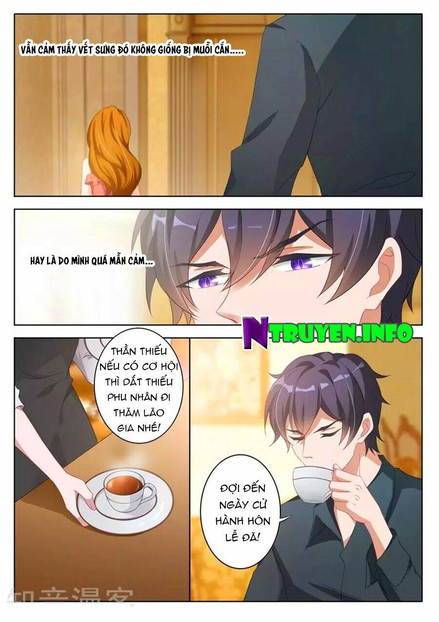 Hào Môn Thiên Giới Tiền Thê Chapter 341 - Trang 2